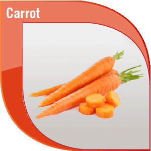 Pakistan Fresh Carrot