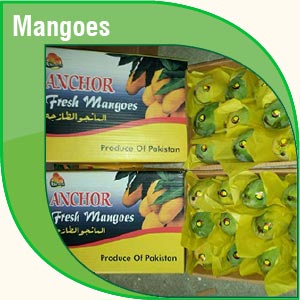 Pakistan Fresh Mangoes