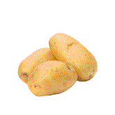 Pakistan Potato