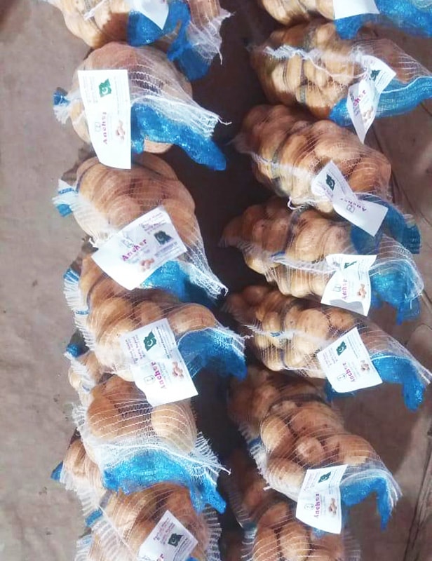 Anchor 
                                            Potato Packing