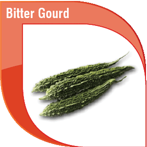 Pakistan bitter gourd