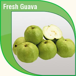 Pakistan Fresh Gauva