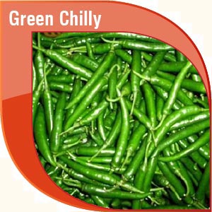 Pakistan Fresh Green Chilly