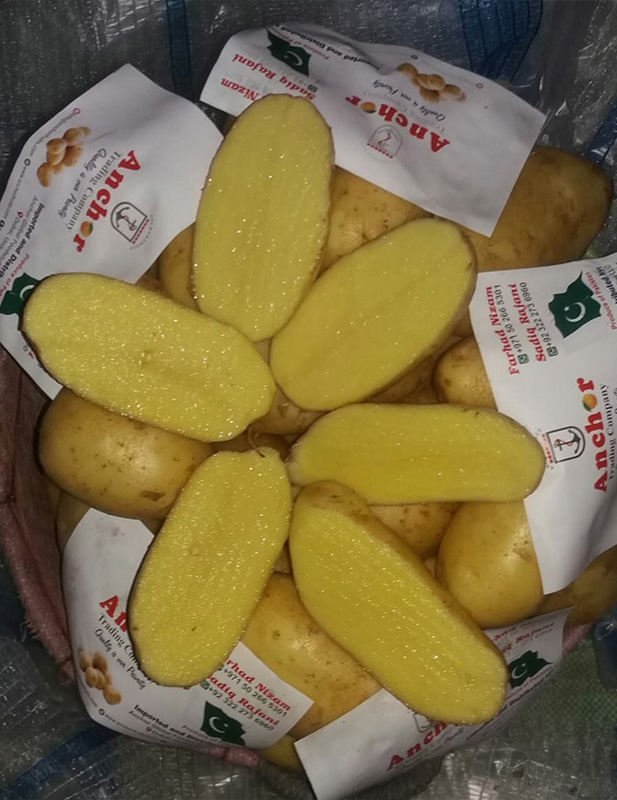 Mozika Potatoes