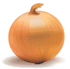 Pakistan Onion