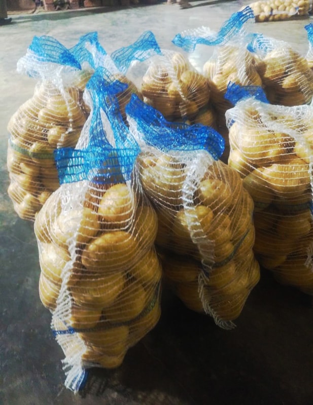 Mozika Potatoes