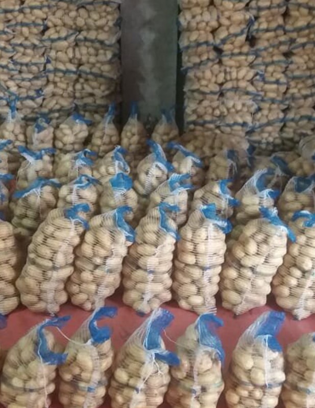Anchor
Potato Packing